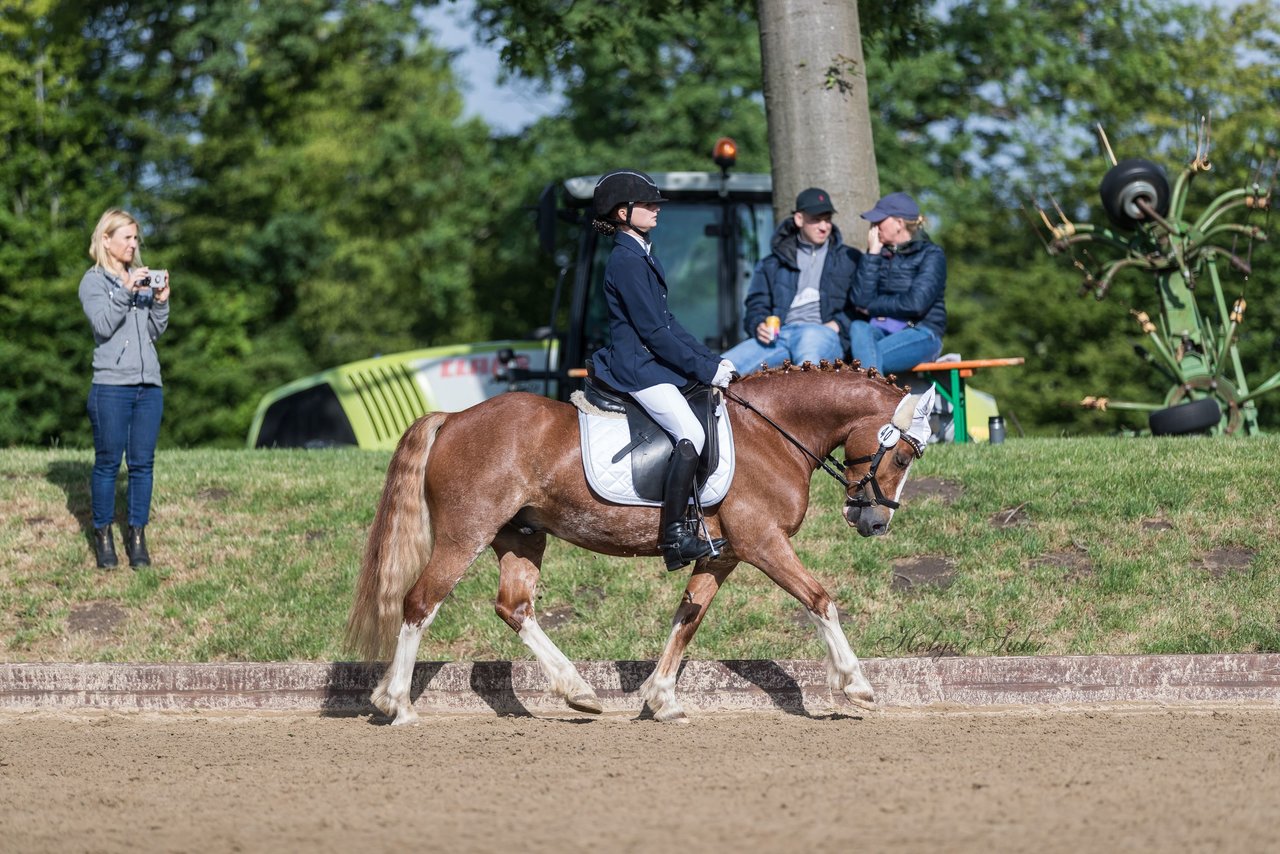 Bild 332 - Pony Akademie Turnier